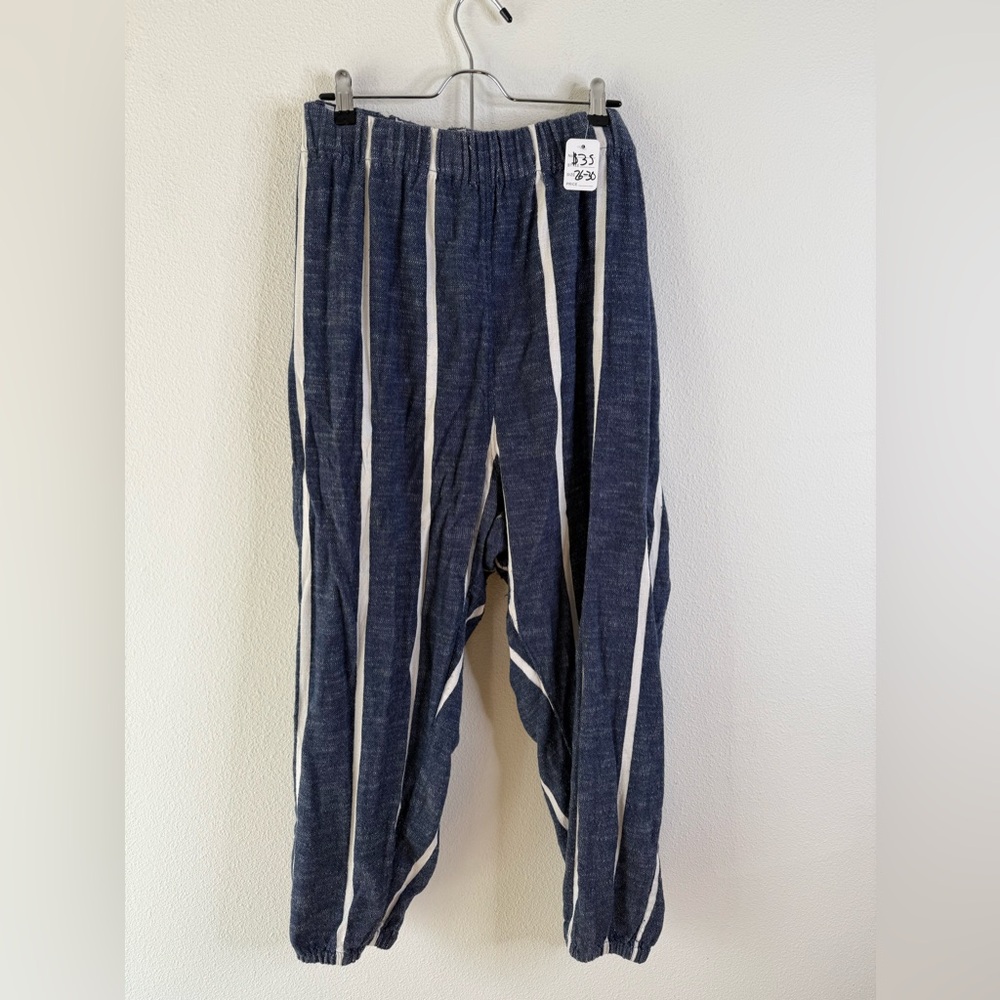 Ace & Jig Blue and White Striped Pants